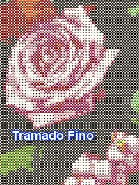 Trama fina 2