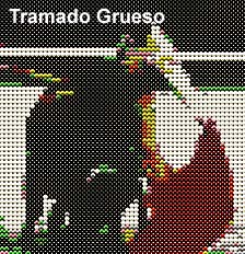 Trama gruesa 2
