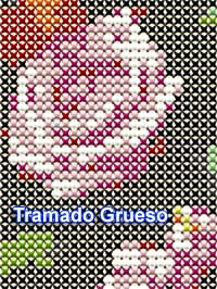 Trama gruesa 2